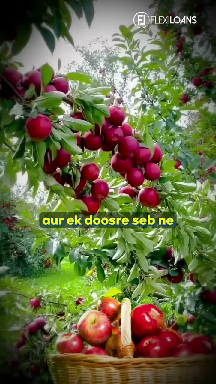 FlexiLoans India